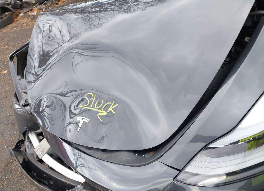 Photo 10 of 2024 Tesla Model Y PERFORMANCE DUAL MOTOR ALL-WHEEL DRIVE (VIN 7SAYGDEF2RF186709)