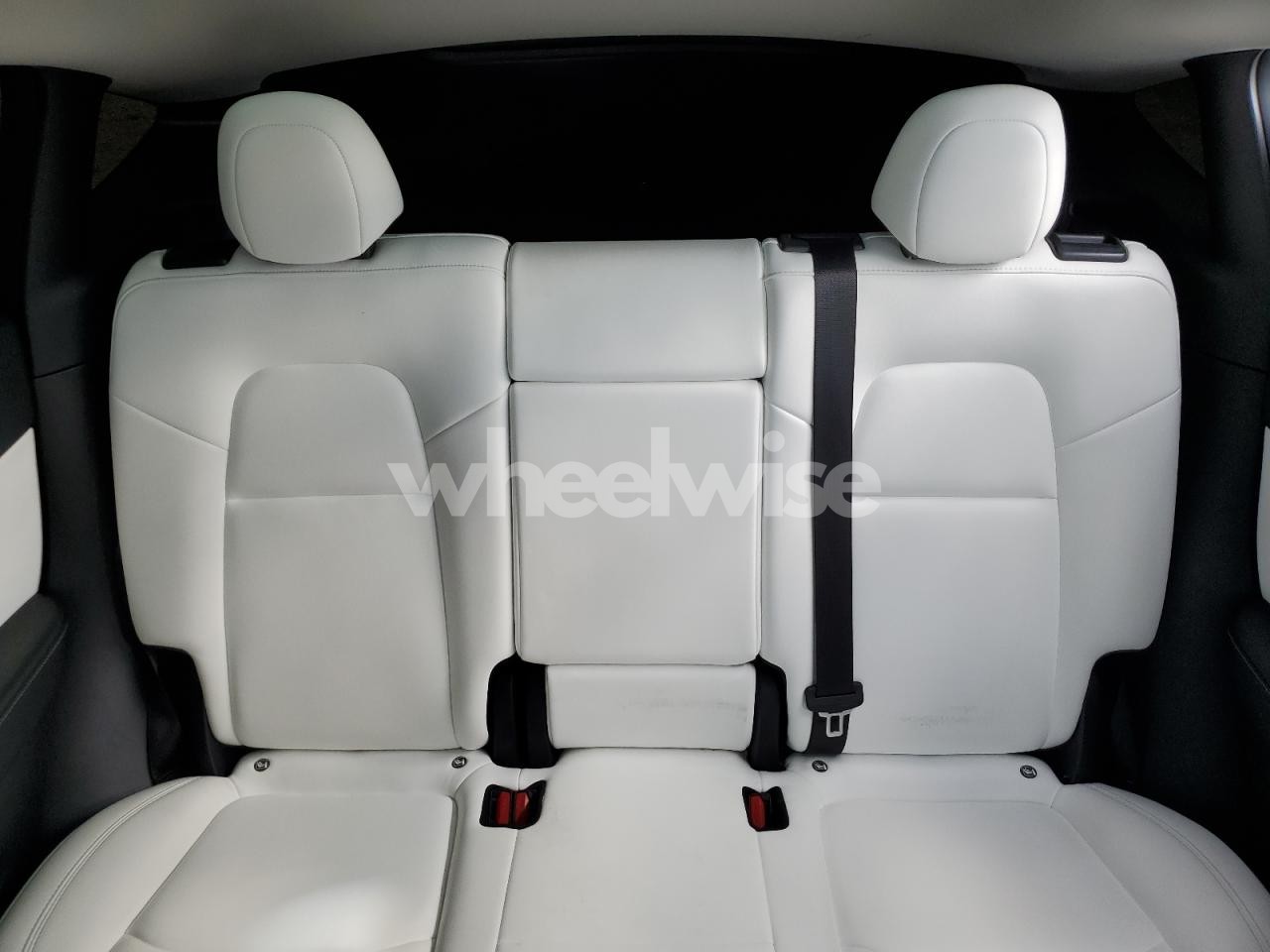 Photo 10 of 2022 TESLA MODEL Y (VIN 7SAYGDEF4NF407656)