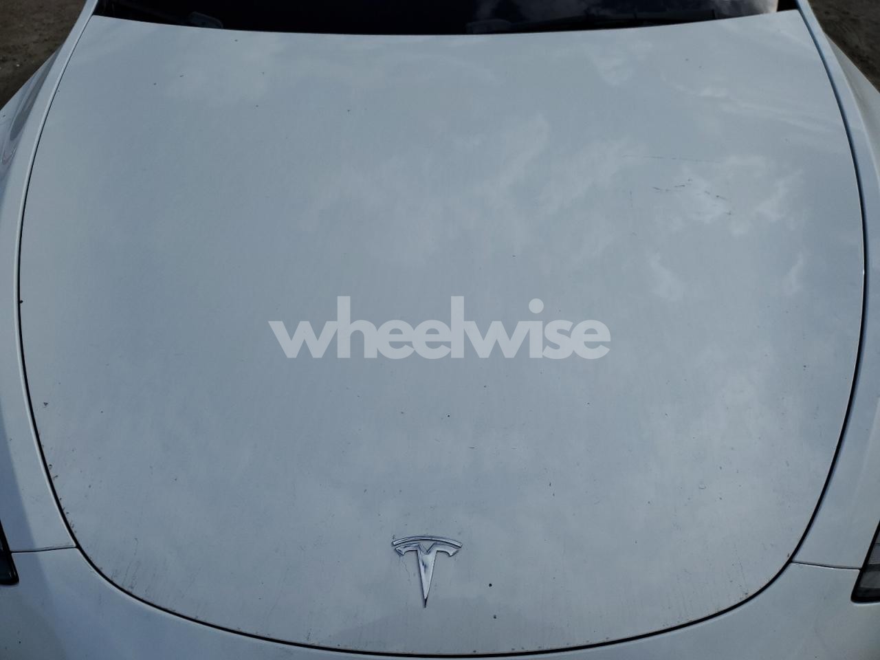 Photo 12 of 2022 TESLA MODEL Y (VIN 7SAYGDEF4NF407656)