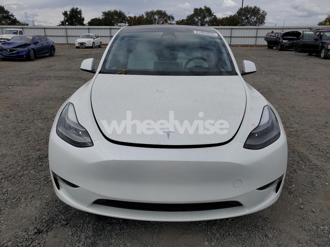 Photo 5 of 2023 TESLA MODEL Y (VIN 7SAYGDEF4PF662360)