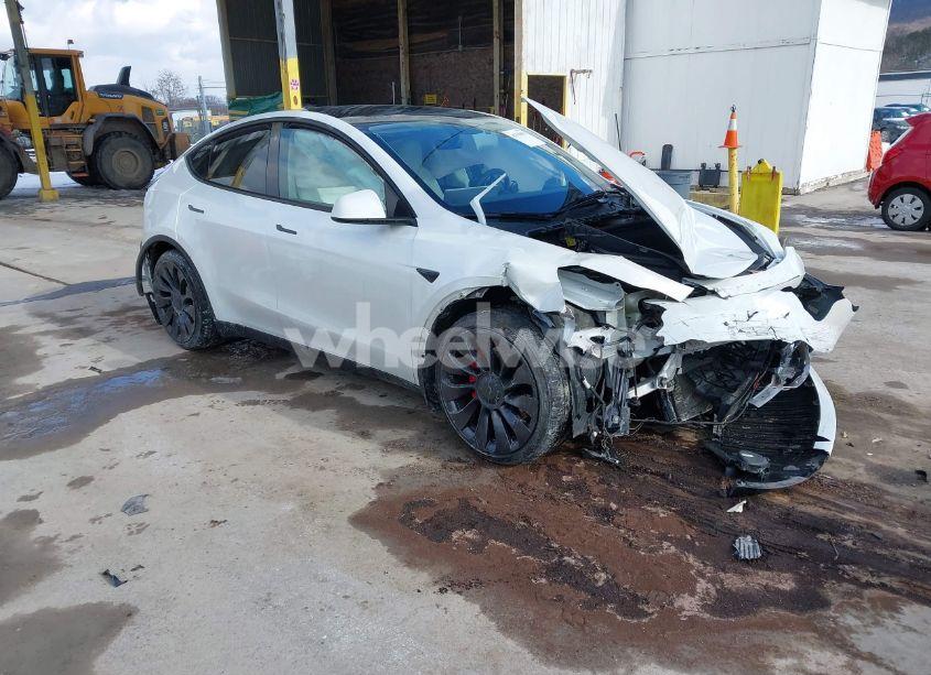 2022 Tesla Model Y PERFORMANCE DUAL MOTOR ALL-WHEEL DRIVE (VIN 7SAYGDEF5NF441878) main photo