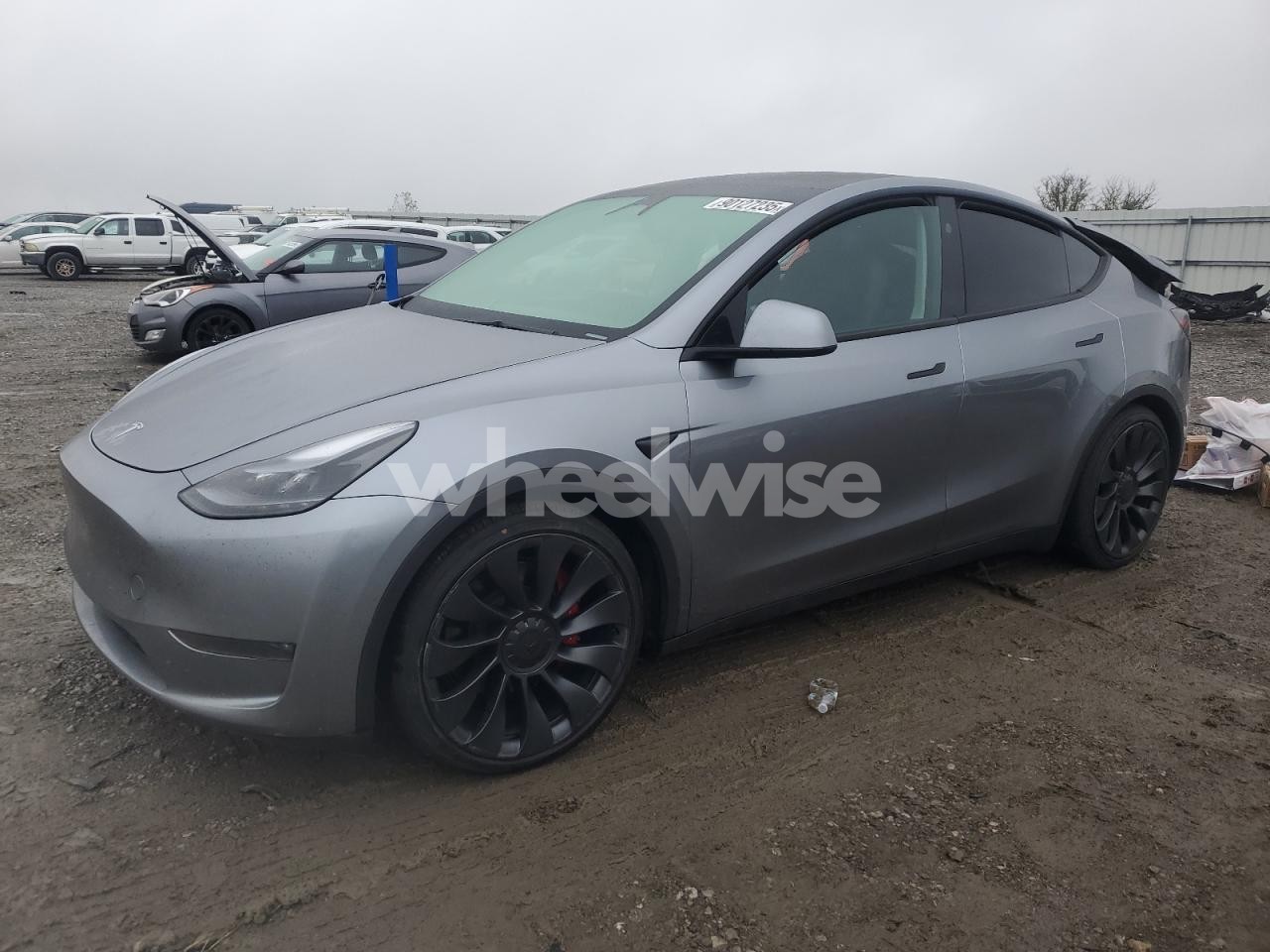 2024 TESLA MODEL Y (VIN 7SAYGDEF5RA291497) main photo