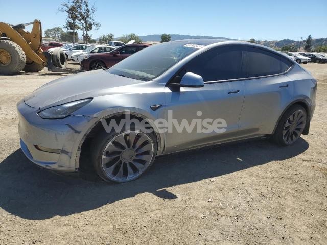 2024 TESLA MODEL Y (VIN 7SAYGDEF5RF128156) main photo