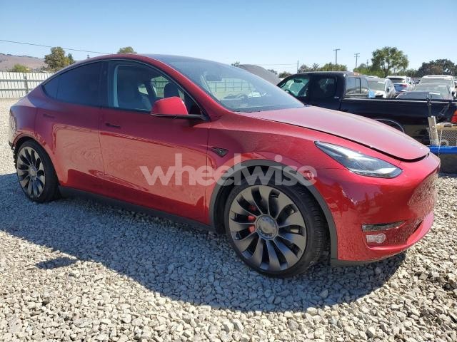 Photo 10 of 2024 TESLA MODEL Y (VIN 7SAYGDEF6RF034836)