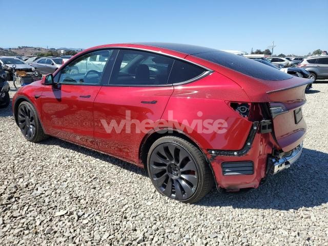 Photo 11 of 2024 TESLA MODEL Y (VIN 7SAYGDEF6RF034836)