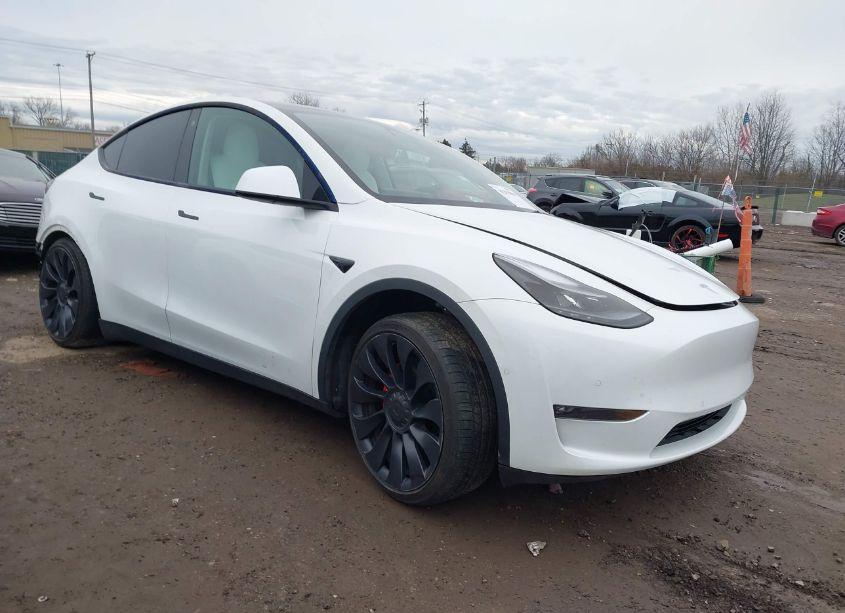 2022 Tesla Model Y PERFORMANCE DUAL MOTOR ALL-WHEEL DRIVE (VIN 7SAYGDEF7NF367203) main photo