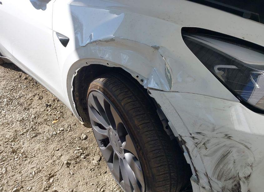 Photo 6 of 2024 Tesla Model Y PERFORMANCE DUAL MOTOR ALL-WHEEL DRIVE (VIN 7SAYGDEF7RF036501)