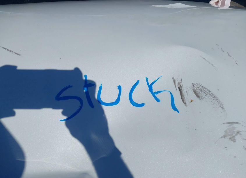 Photo 10 of 2022 Tesla Model Y PERFORMANCE DUAL MOTOR ALL-WHEEL DRIVE (VIN 7SAYGDEF8NF379702)