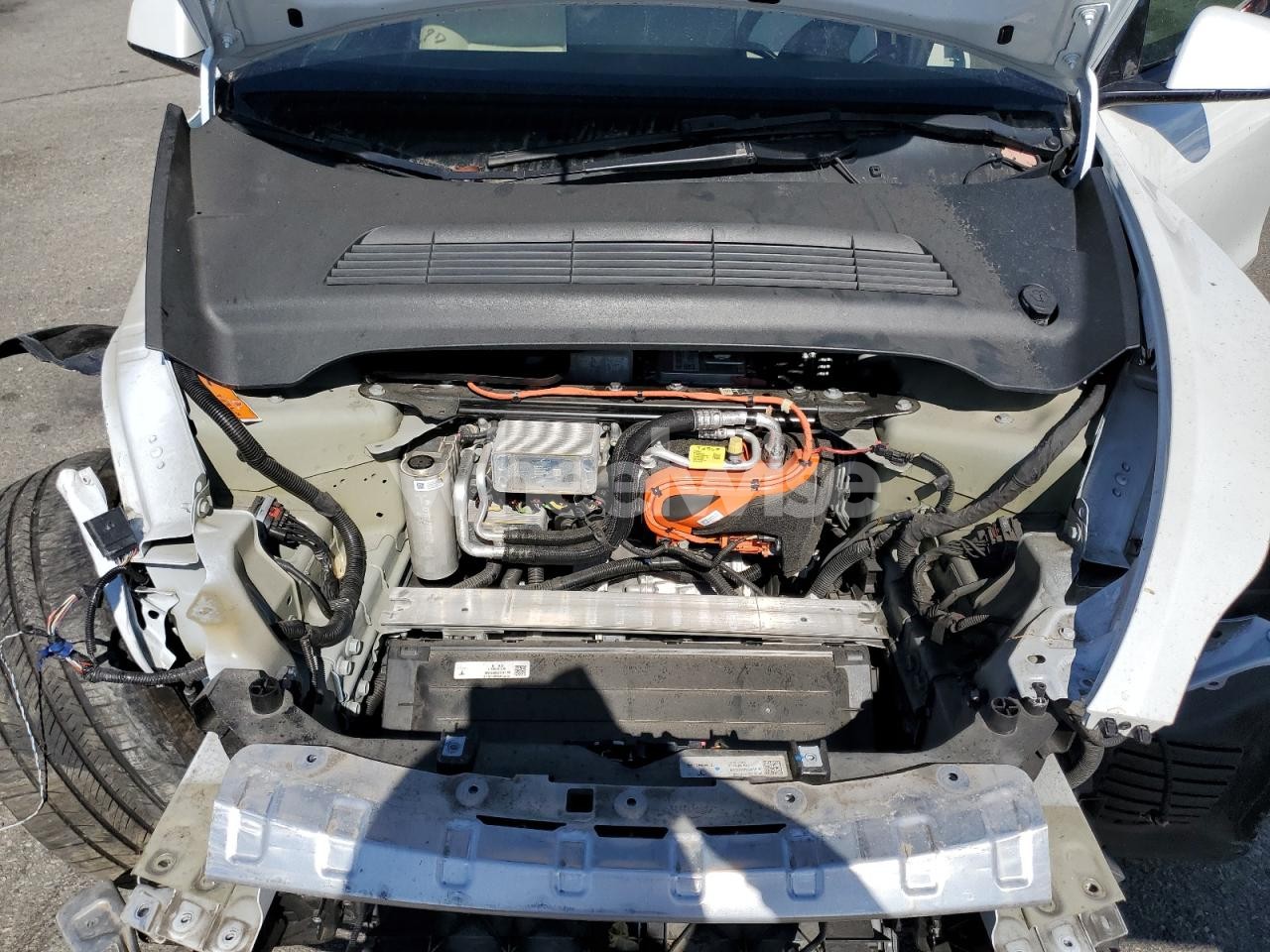 Photo 11 of 2023 TESLA MODEL Y (VIN 7SAYGDEF8PF645738)