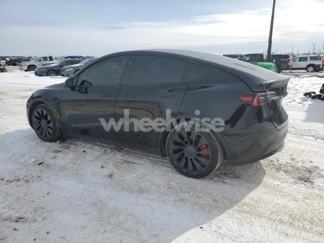 2025 TESLA MODEL Y (VIN 7SAYGDEF8SA339936) main photo