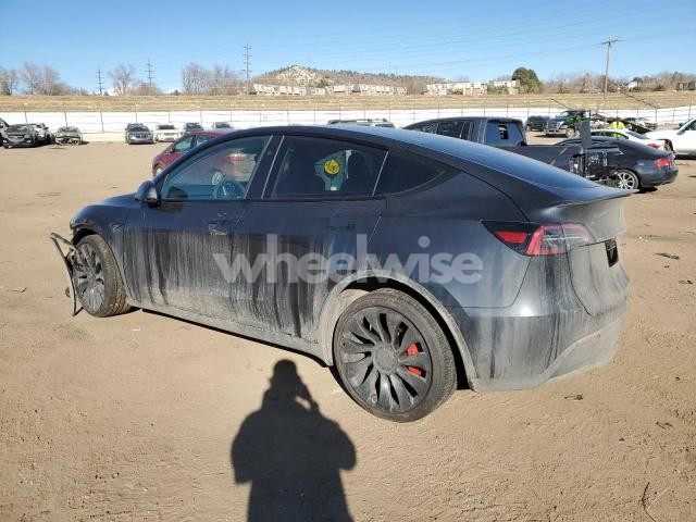 2025 TESLA MODEL Y (VIN 7SAYGDEF8SF254839) main photo