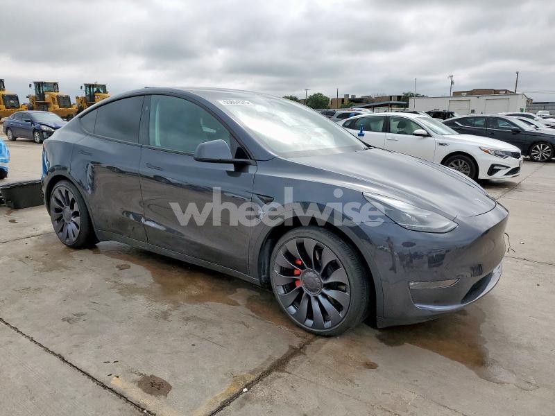 2024 TESLA MODEL Y (VIN 7SAYGDEF9RA312951) main photo