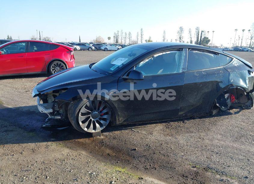 Photo 19 of 2025 Tesla Model Y PERFORMANCE DUAL MOTOR ALL-WHEEL DRIVE (VIN 7SAYGDEF9SF218920)