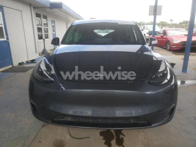 2023 TESLA MODEL Y (VIN 7SAYGDEFXPF644302) main photo
