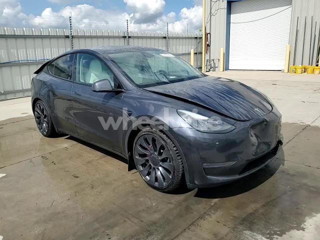 2024 TESLA MODEL Y (VIN 7SAYGDEFXRA279555) main photo