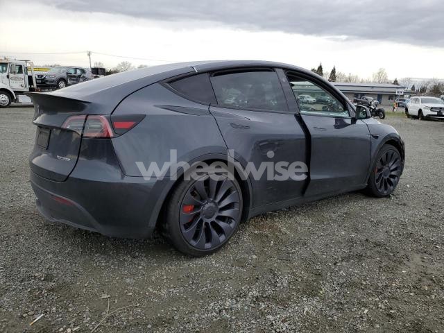 2024 TESLA MODEL Y (VIN 7SAYGDEFXRF063420) main photo