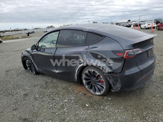 Photo 14 of 2024 TESLA MODEL Y (VIN 7SAYGDEFXRF063420)