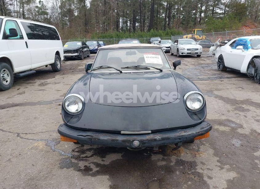 Photo 12 of 1979 Alfa Romeo SPIDER (VIN AR115410007947)