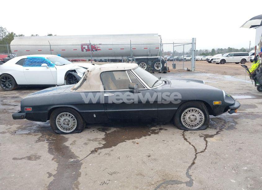 Photo 13 of 1979 Alfa Romeo SPIDER (VIN AR115410007947)
