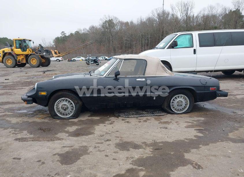 Photo 14 of 1979 Alfa Romeo SPIDER (VIN AR115410007947)