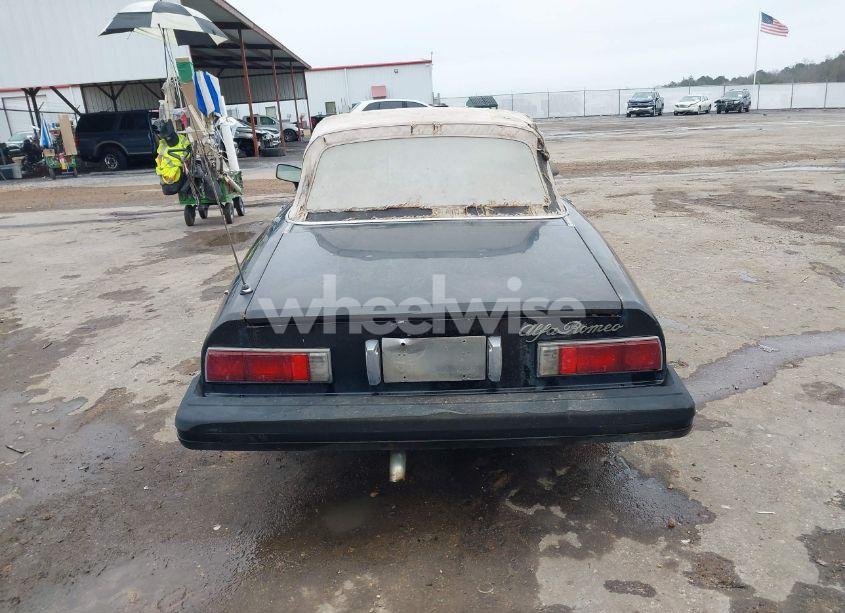 Photo 16 of 1979 Alfa Romeo SPIDER (VIN AR115410007947)