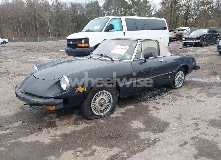 Photo 2 of 1979 Alfa Romeo SPIDER (VIN AR115410007947)