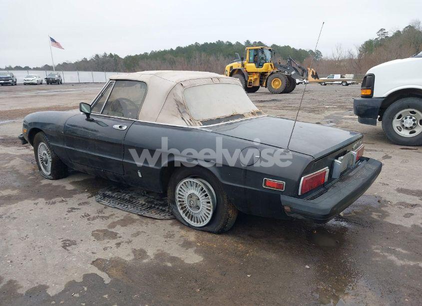 Photo 3 of 1979 Alfa Romeo SPIDER (VIN AR115410007947)