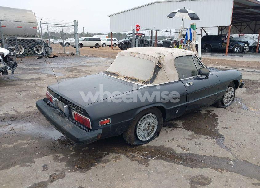 Photo 4 of 1979 Alfa Romeo SPIDER (VIN AR115410007947)