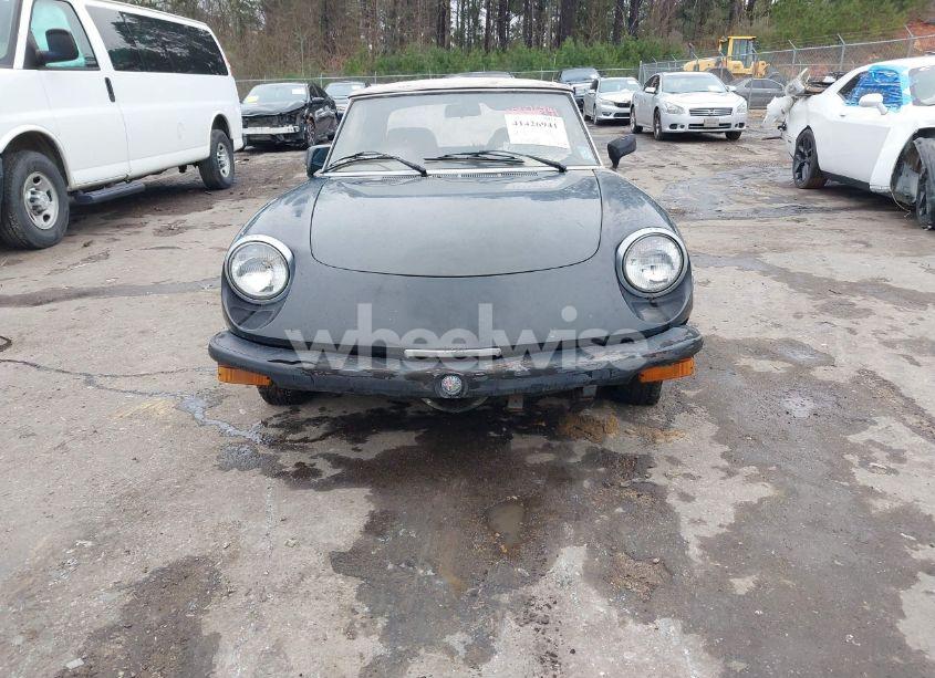 Photo 6 of 1979 Alfa Romeo SPIDER (VIN AR115410007947)