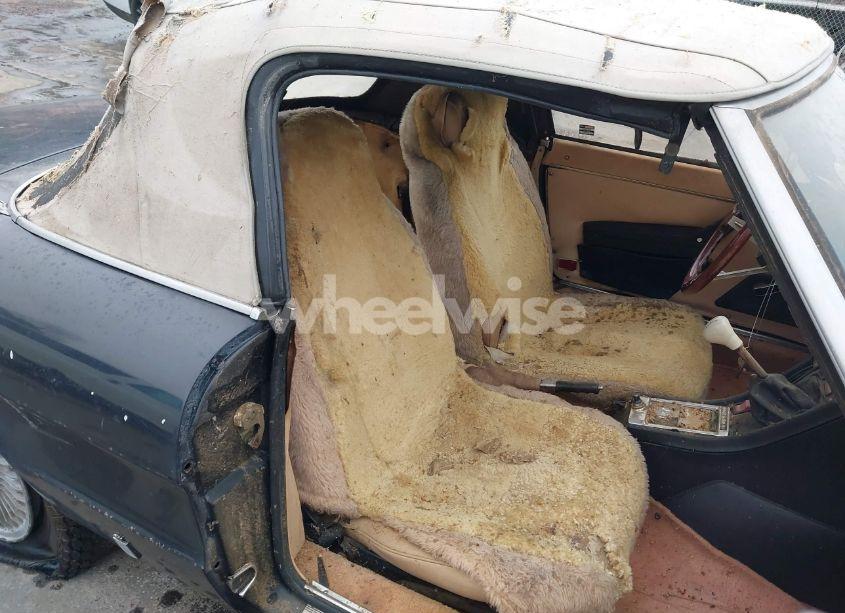 Photo 8 of 1979 Alfa Romeo SPIDER (VIN AR115410007947)