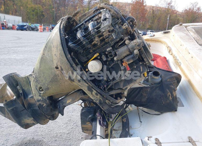 Photo 10 of 2019 Tahoe 1950f N/A (VIN BUJ95384F819)