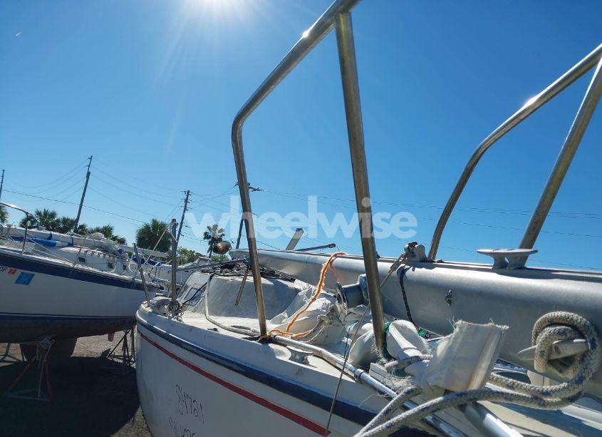 Photo 6 of 1979 Catalina Other N/A (VIN CTYL4313M79I)