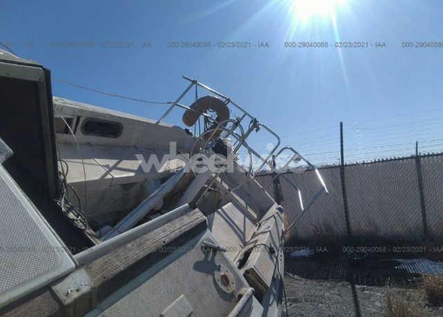 Photo 10 of 1986 Catalina Other (VIN CTYL6181L586)