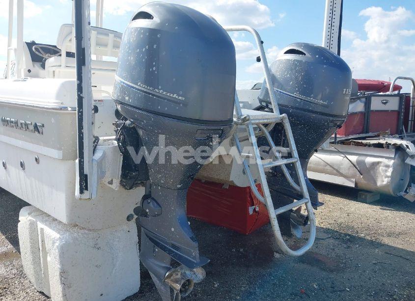 Photo 10 of 2019 World Cat OTHER (VIN EPY04278I819)