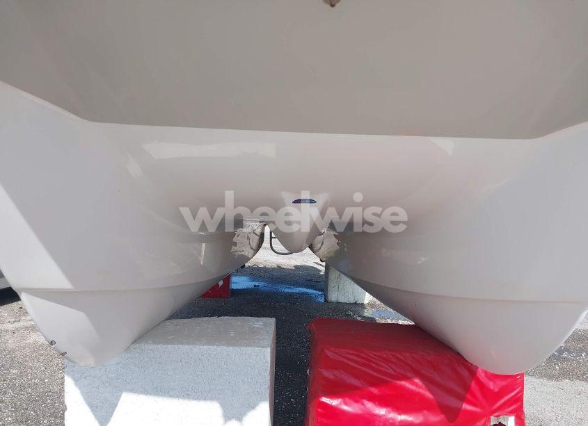 Photo 13 of 2019 World Cat OTHER (VIN EPY04278I819)