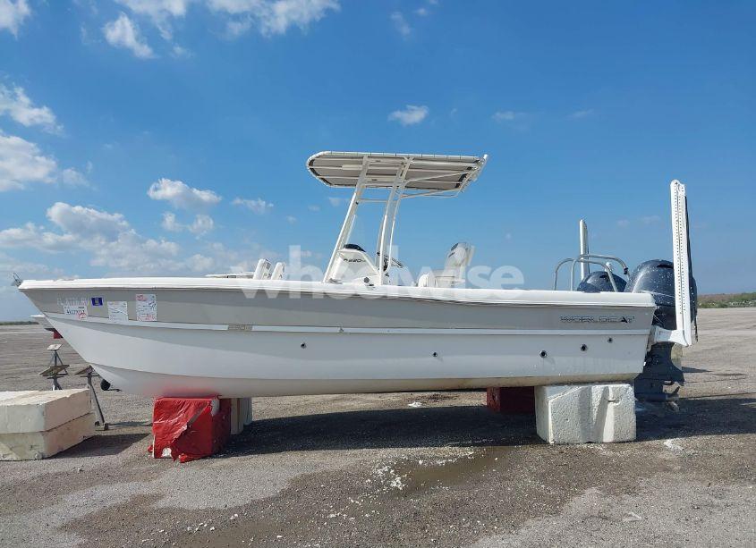 Photo 17 of 2019 World Cat OTHER (VIN EPY04278I819)