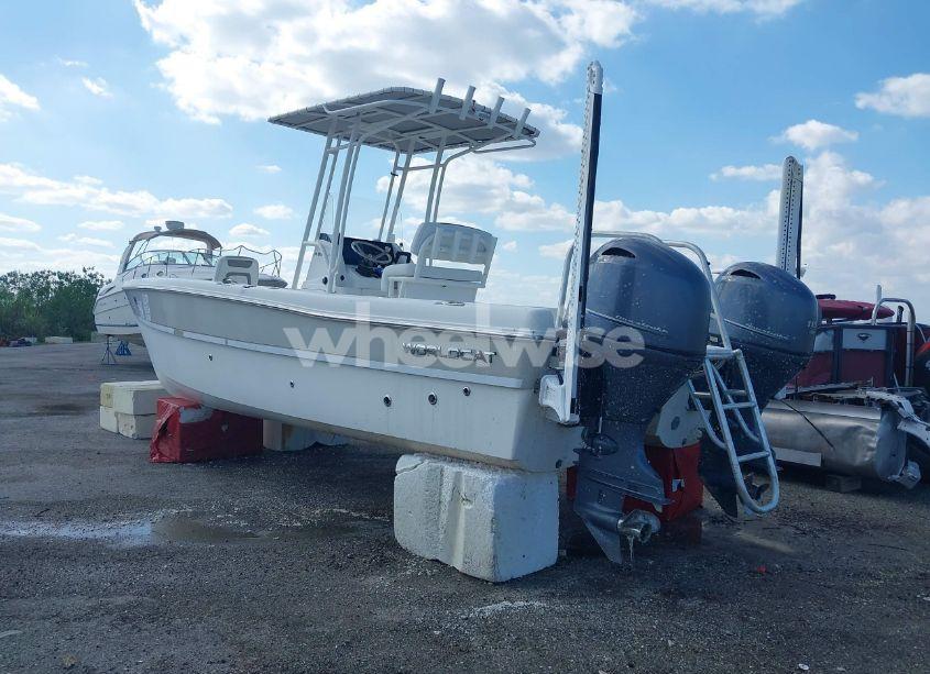 Photo 3 of 2019 World Cat OTHER (VIN EPY04278I819)