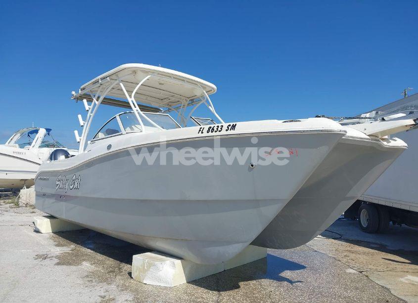 2020 World Cat OTHER (VIN EPY04544F920) main photo