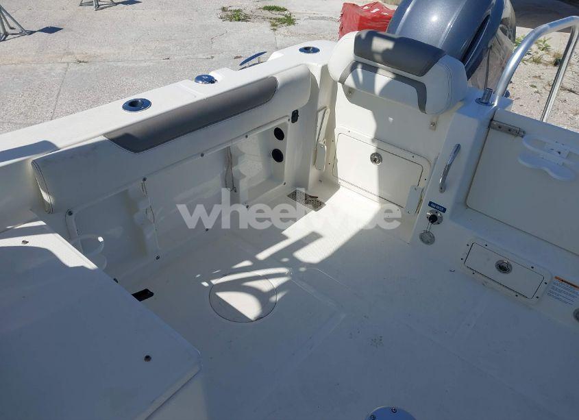 Photo 11 of 2020 World Cat OTHER (VIN EPY04544F920)