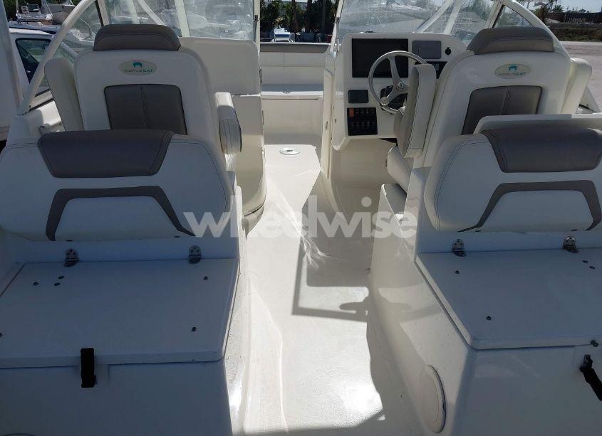 Photo 14 of 2020 World Cat OTHER (VIN EPY04544F920)