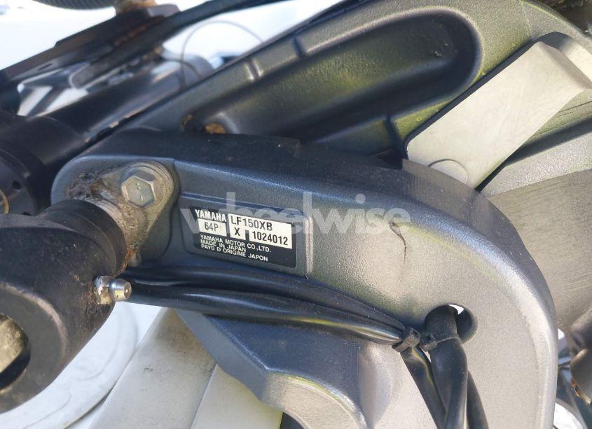 Photo 18 of 2020 World Cat OTHER (VIN EPY04544F920)