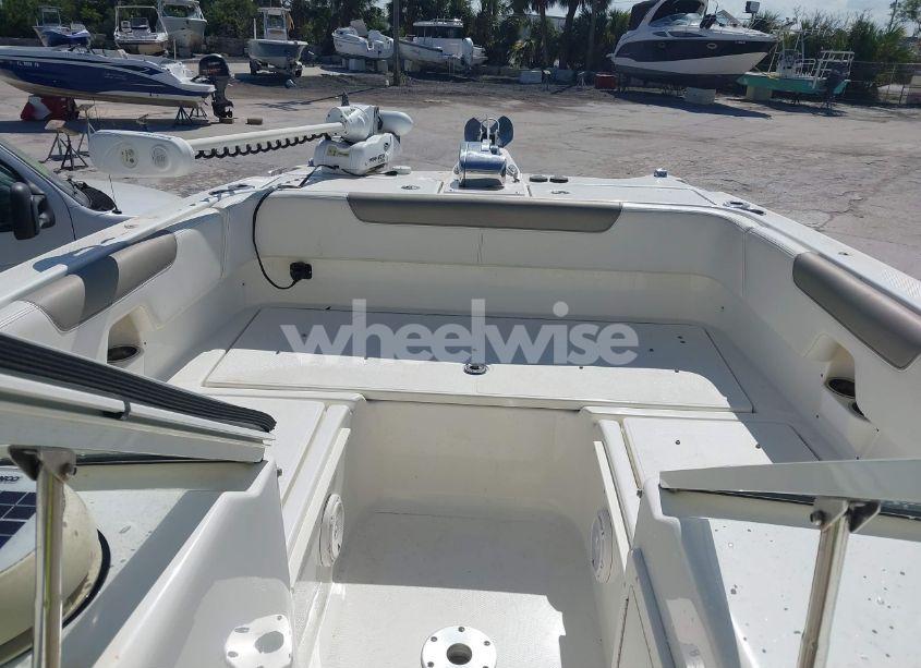 Photo 5 of 2020 World Cat OTHER (VIN EPY04544F920)