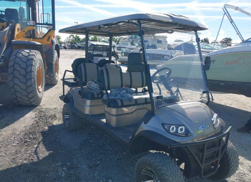 2020 Icon Golf CART (VIN FLA109594) main photo