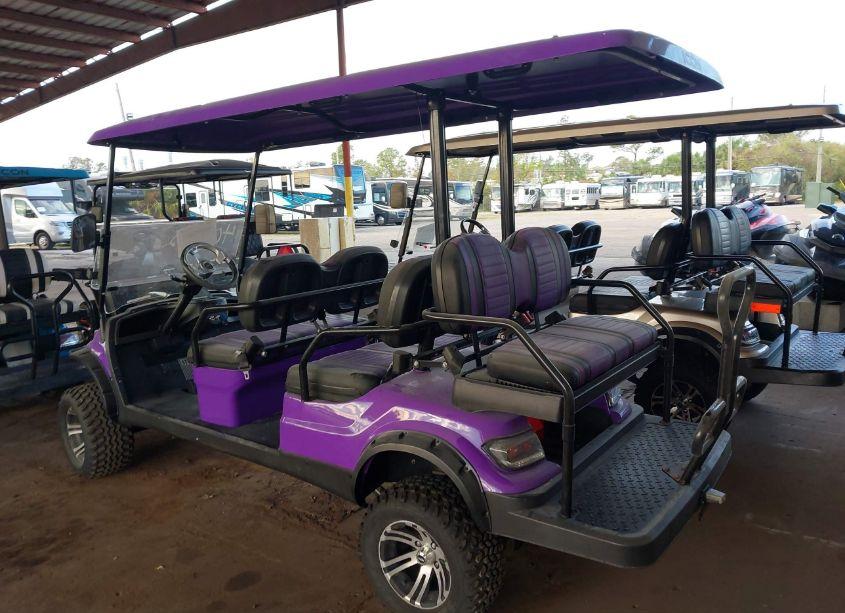 Photo 3 of 2022 Icon Gold CART (VIN FLA120455)