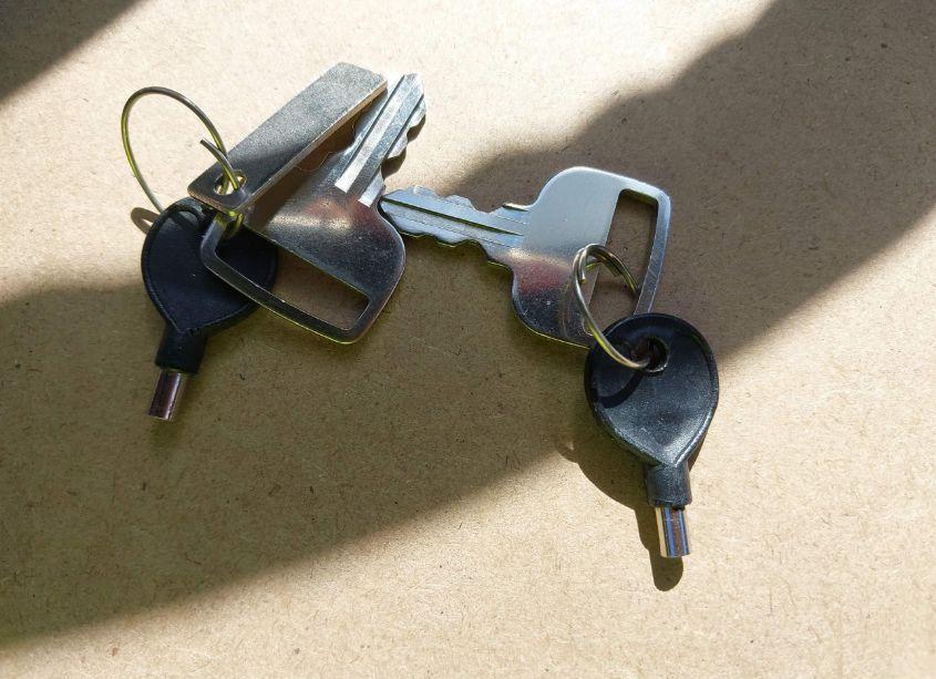 Photo 11 of 2019 Southbay Boat & TRAILER (VIN FRU42696J819)