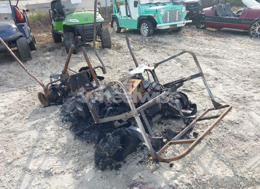 Photo 4 of 2014 Golf Cart OTHER (VIN JE1434486550)