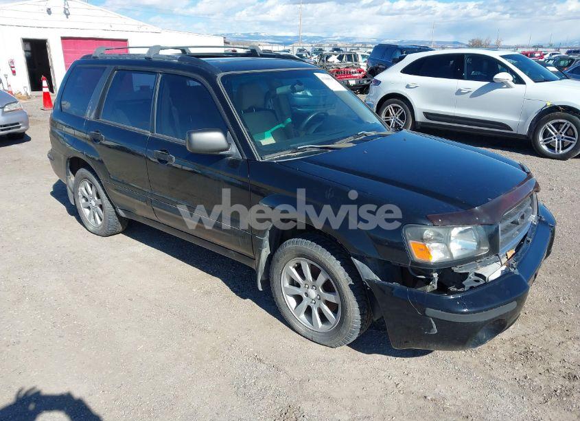 2005 Subaru Forester 2.5XS (VIN JF1SG65615G717077) main photo