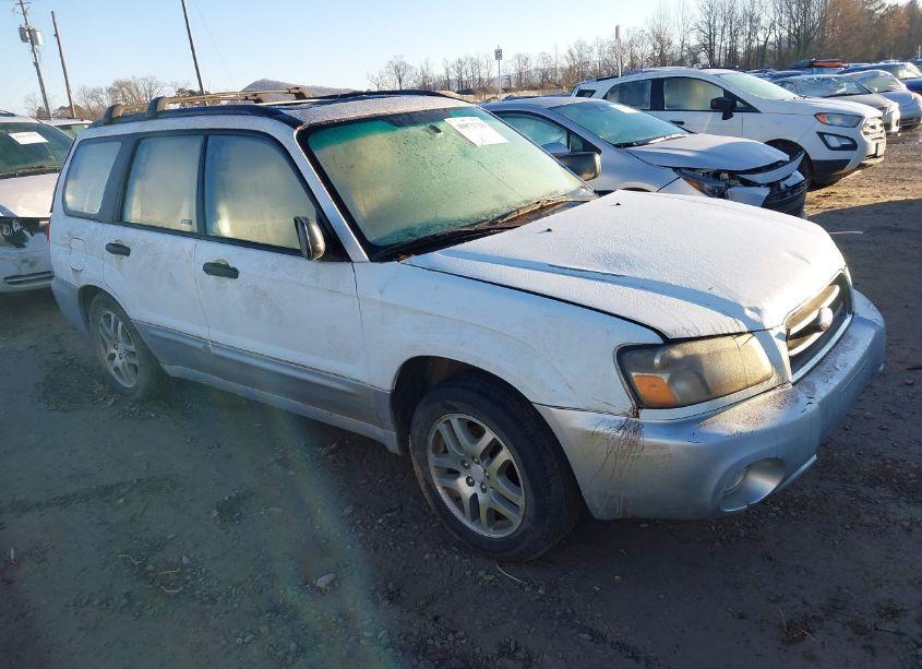 2005 Subaru Forester 2.5XS L.L. BEAN (VIN JF1SG67645H748184) main photo