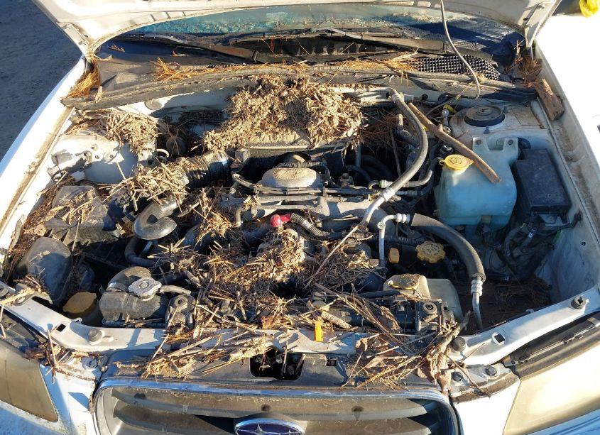 Photo 10 of 2005 Subaru Forester 2.5XS L.L. BEAN (VIN JF1SG67645H748184)