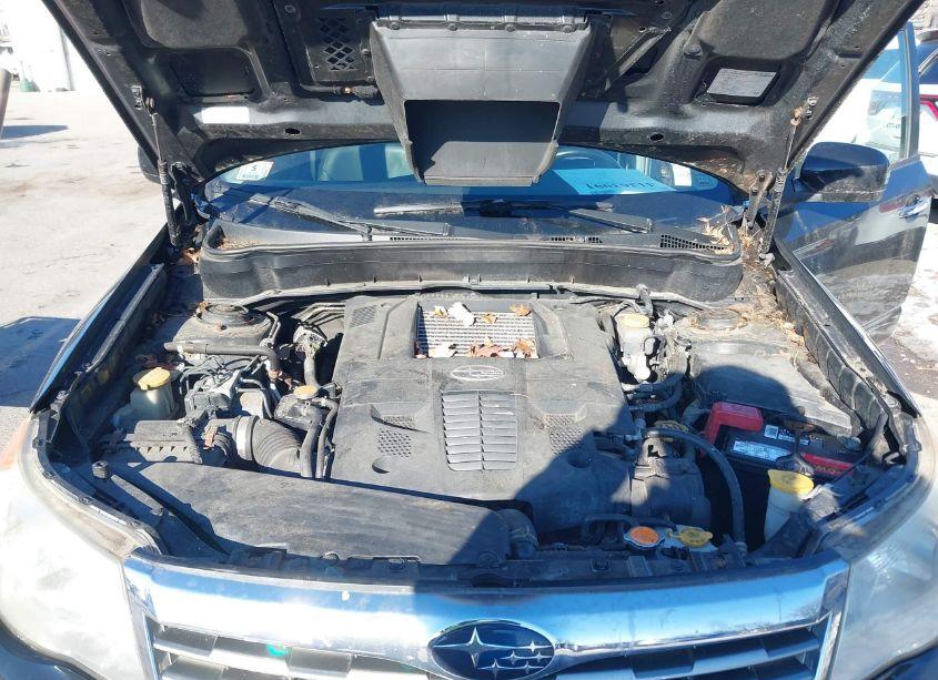 Photo 10 of 2010 Subaru Forester 2.5XT LIMITED (VIN JF2SH6FC5AH764663)